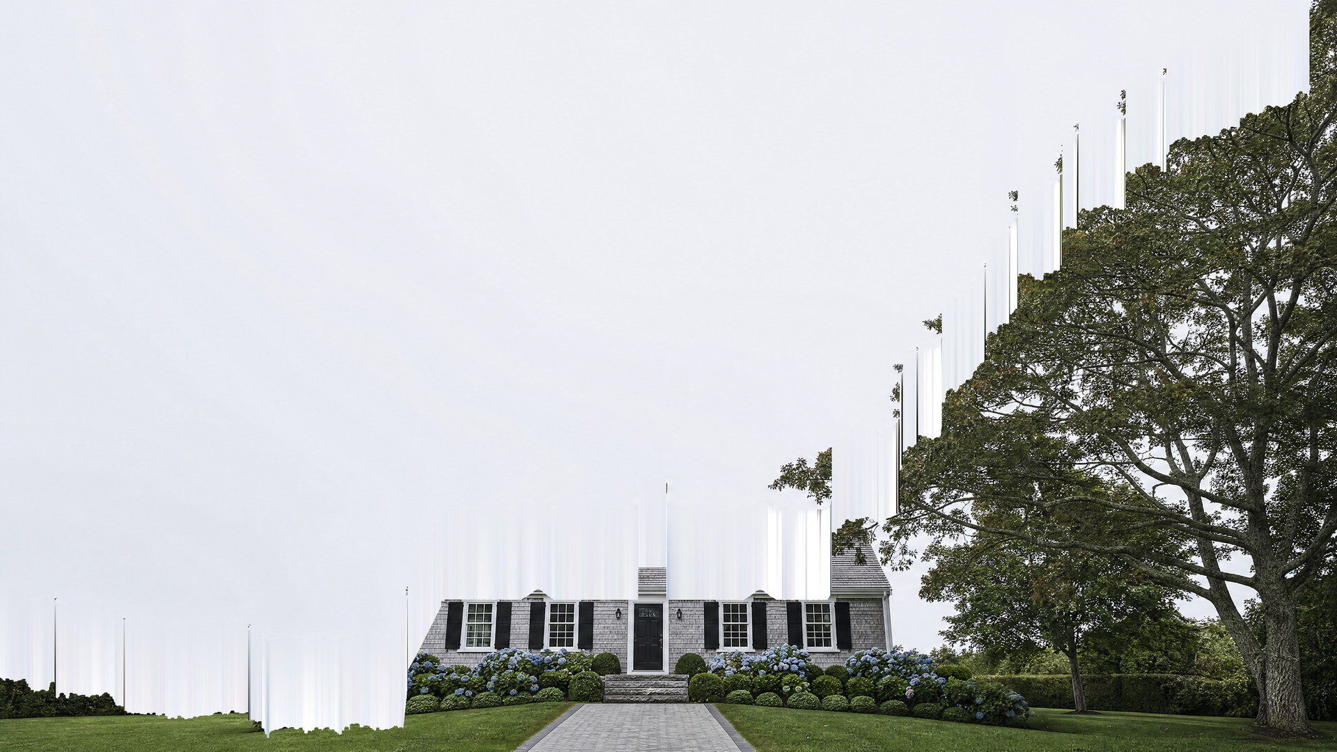 Shingled Cape Cod home behind a mature shade tree and hydrangea beds